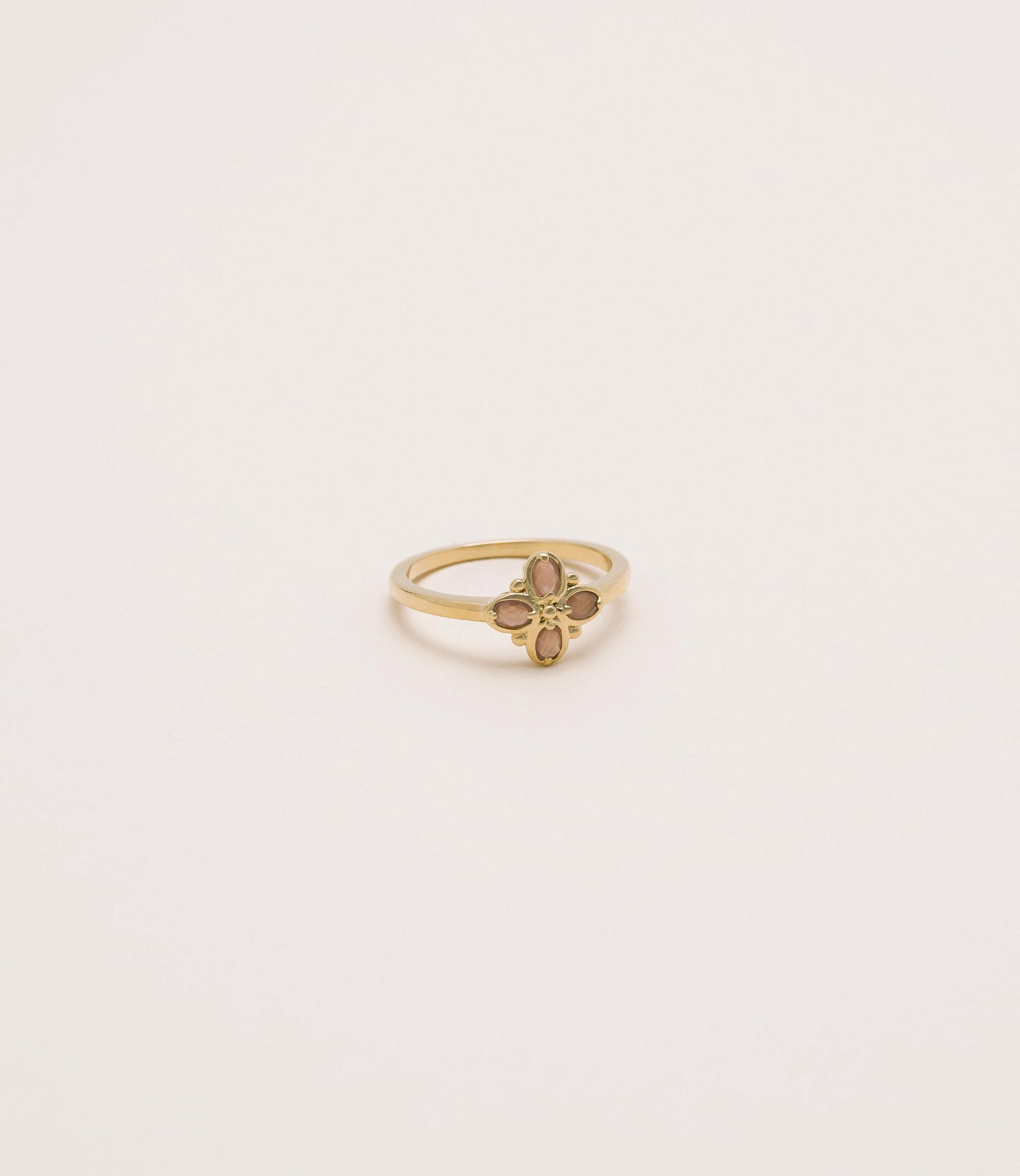 Anillo Medina
