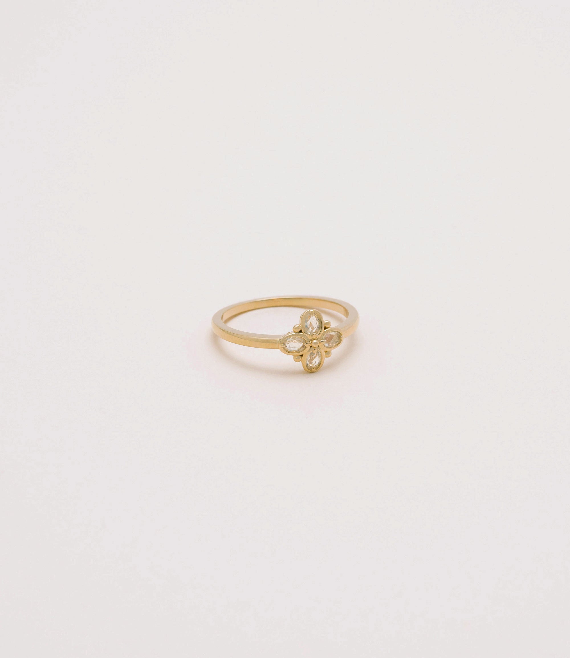 Anillo Medina